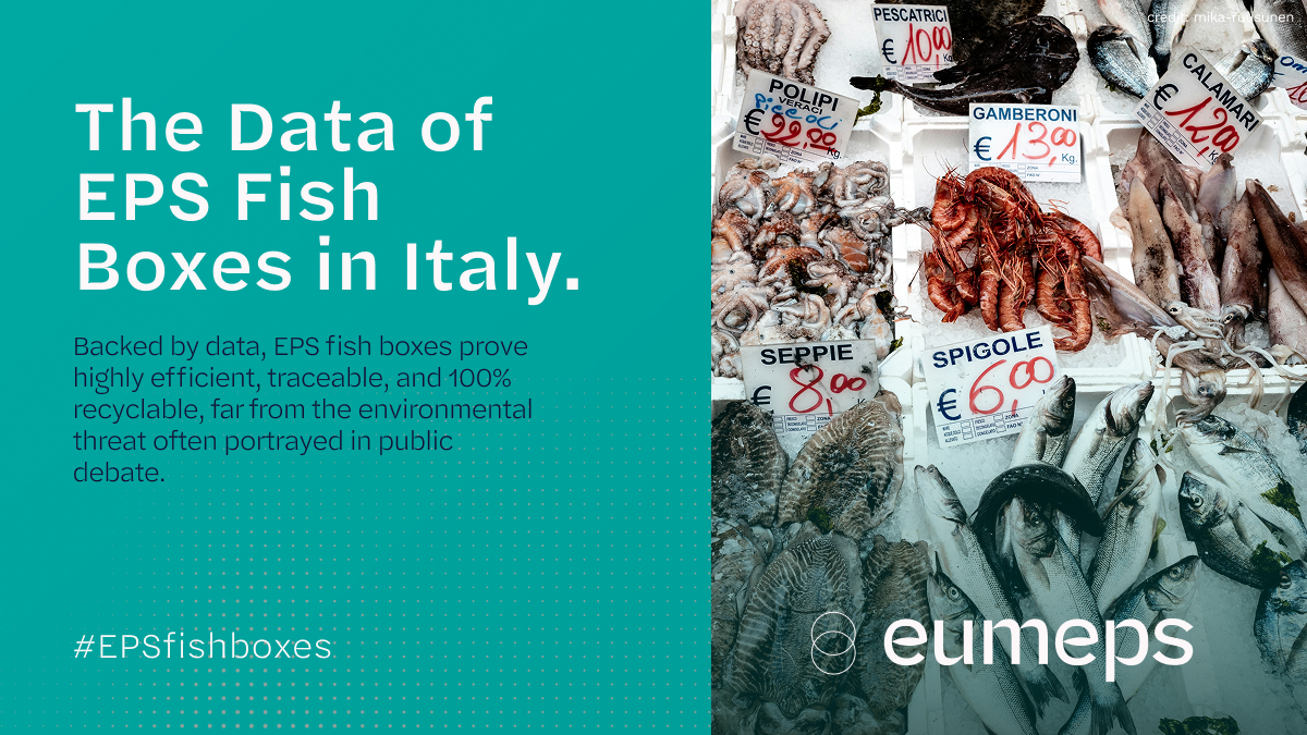 EPS Fish Boxes: Packaging that Combines Efficiency and Recycling